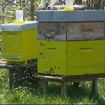 La Kabanetik Blain