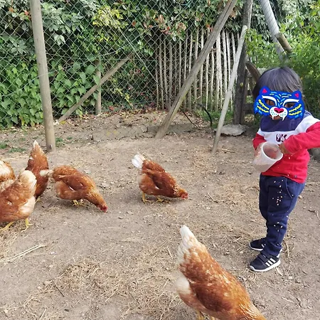 La Kabanetik 샬레 *