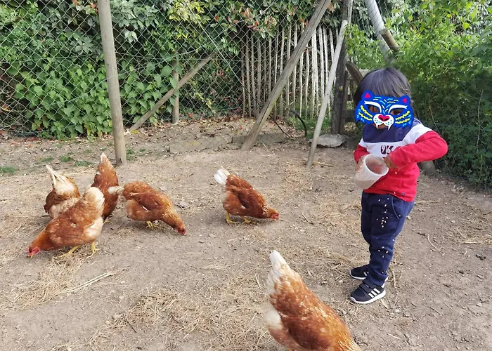 La Kabanetik Chalet *